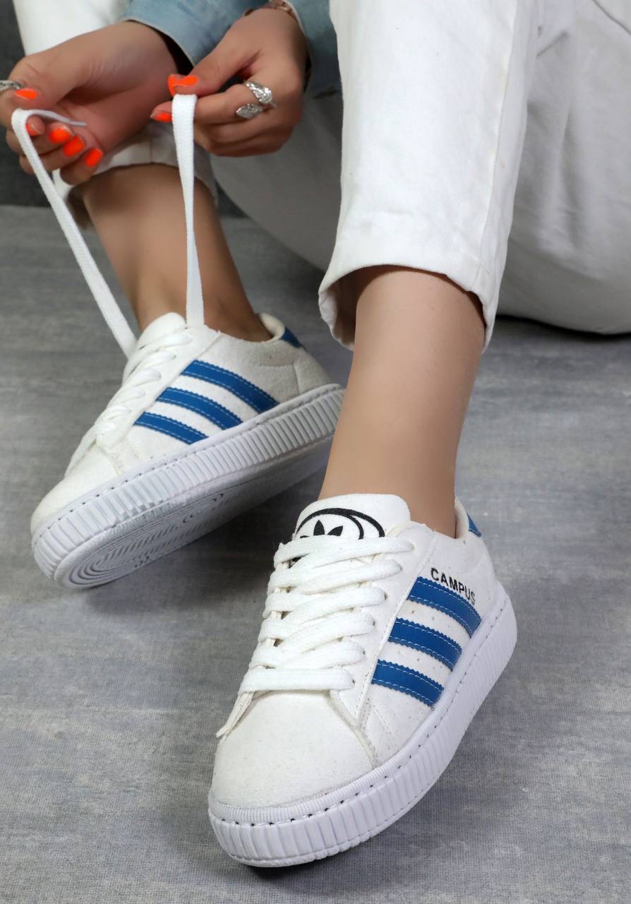 کامپس زیر قیمتی